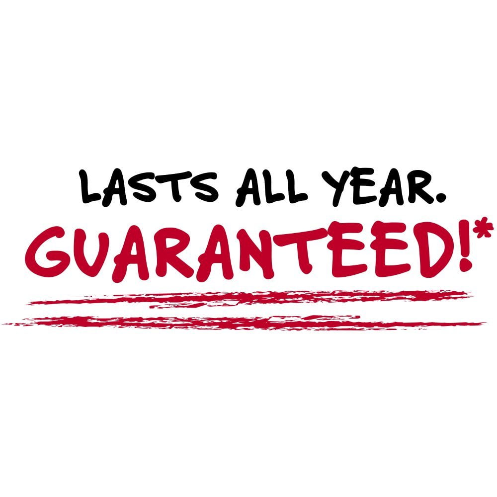 Five Star 2-Pocket Stay-Put Plastic Folder Primary 4 Pack (38049)