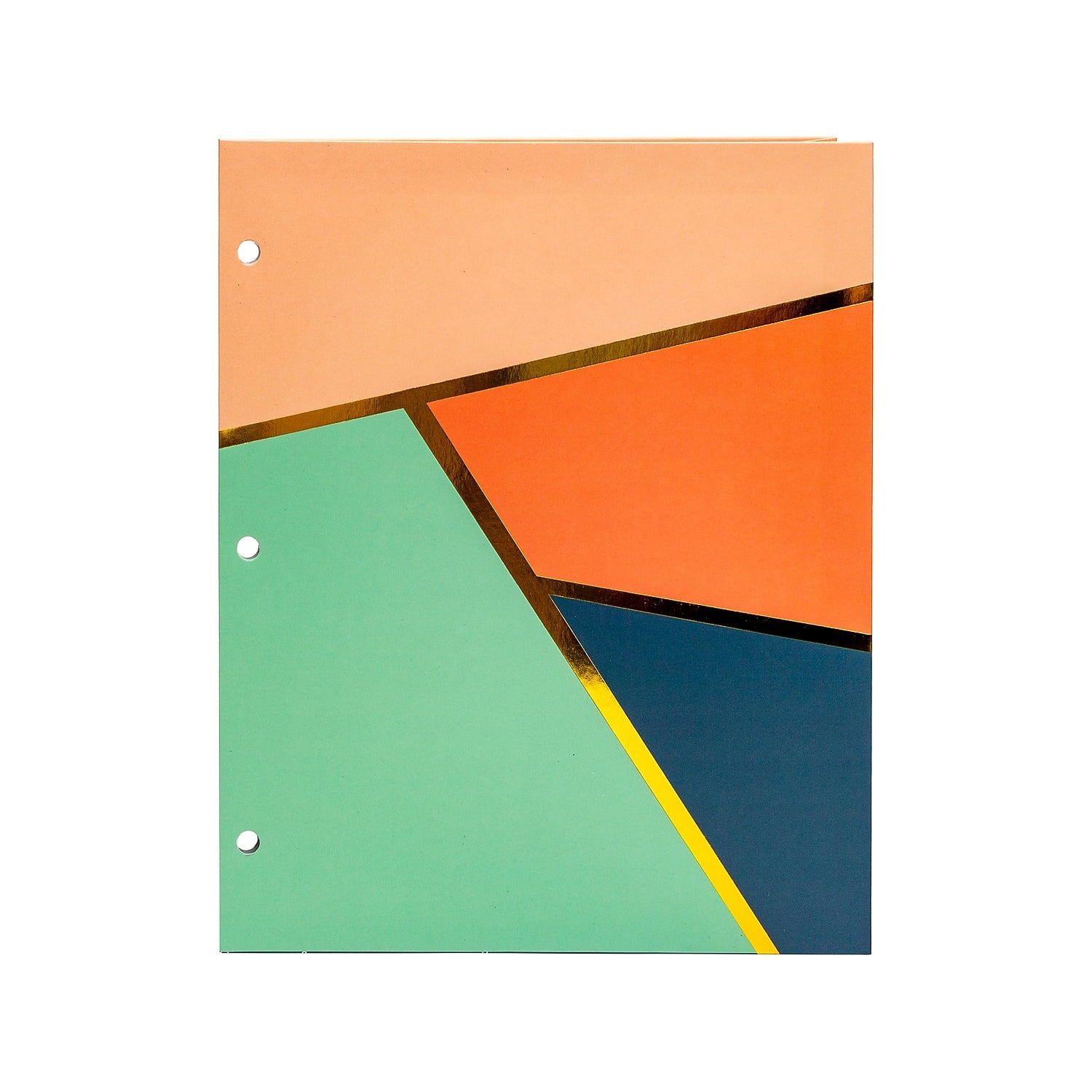 Pukka Pad Carpe Diem Floral Love 3-Hole Punched 2-Pocket Portfolio Folders Assorted Colors 6/Pack